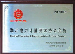 電力計量測試協(xié)會會員